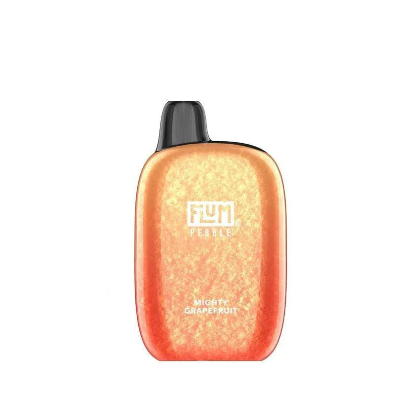 FLUM Pebble 6000 Disposable Device – 6,000 Puffs
