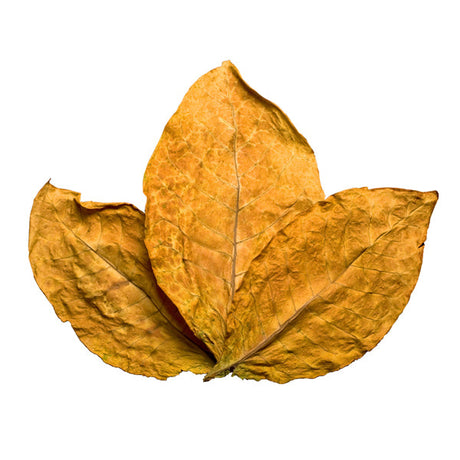 Tobacco-Flavored & Inspired E-Liquids
