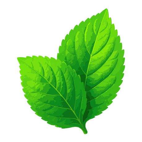 Mint E-Liquids