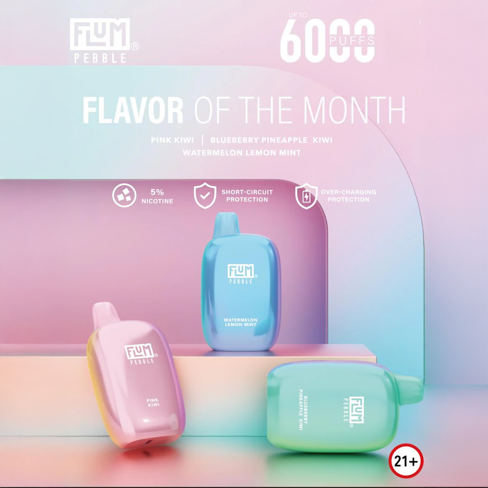 FLUM Pebble 6000 Disposable Device with 10mL Capacity and Mesh Coil