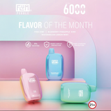 FLUM Pebble 6000 Disposable Device with 10mL Capacity and Mesh Coil