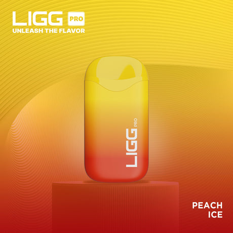 Ligg Pro Disposable ***