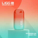 Ligg Pro Disposable ***