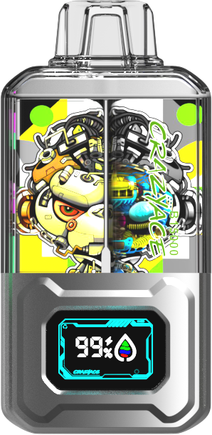 CRAZYACE B15000 Disposable Device – 15000 Puffs