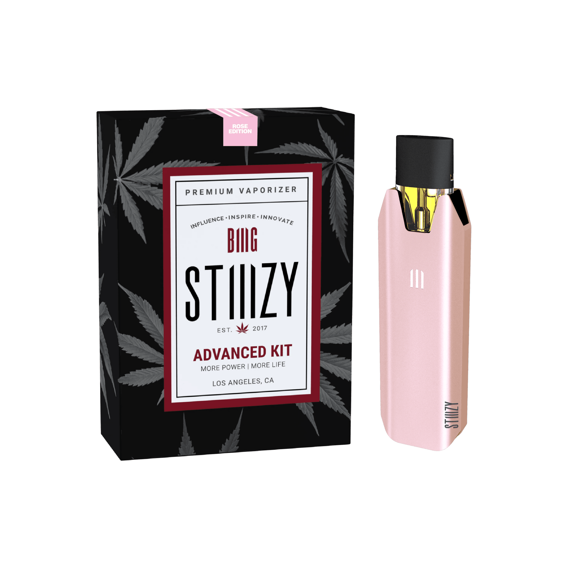 STIIIZY BIIIG Vaporizer Advanced Kit Battery – VapoRider