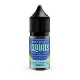 Blueberry Limeade by Coastal Clouds Salt Series 30mL colored without Packaging